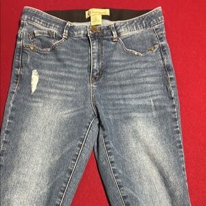 Democracy Blue Skinny Jeans with Vintage-Inspired Wash